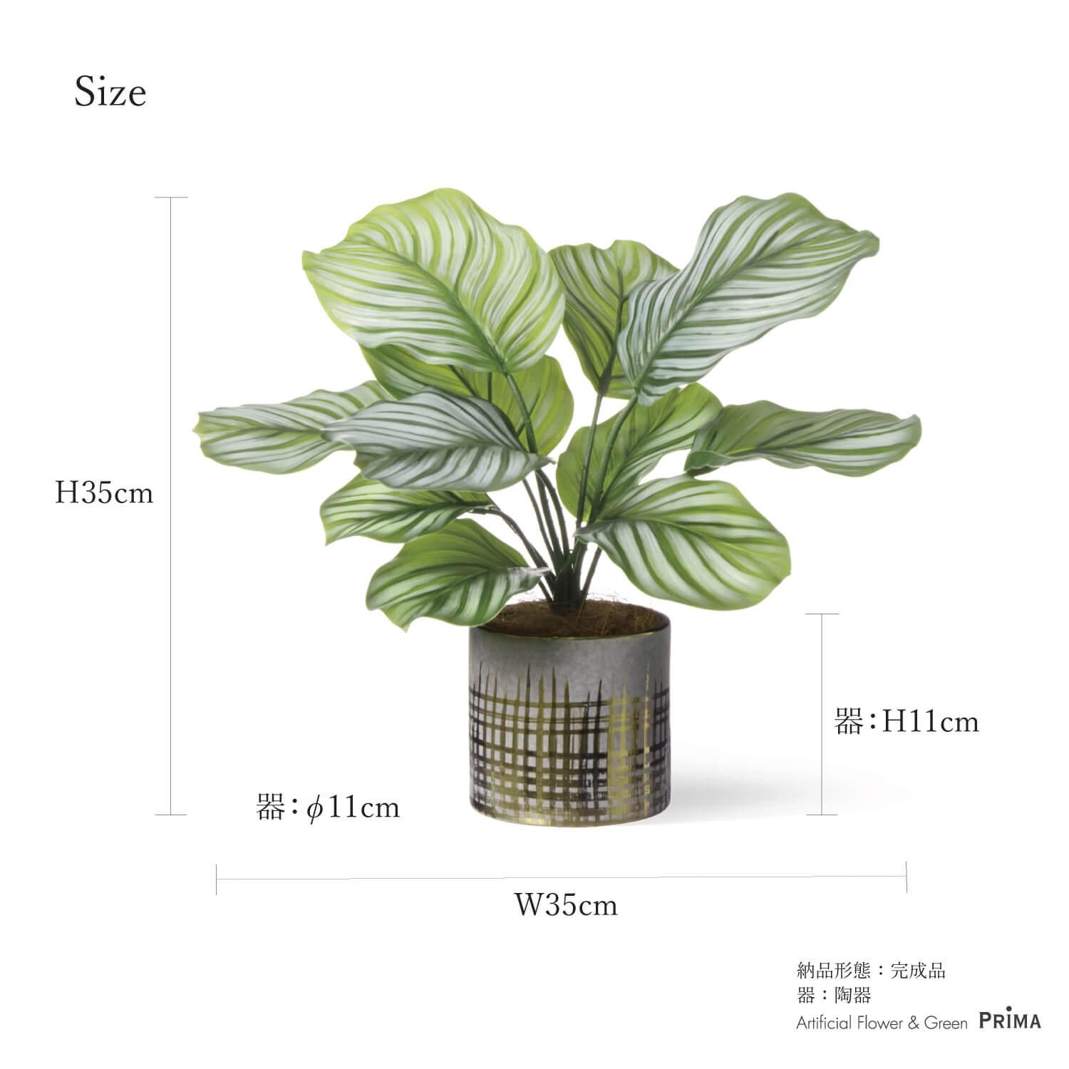 カラテア エレクトロポットS 観葉植物 | フェイクグリーン・造花専門店