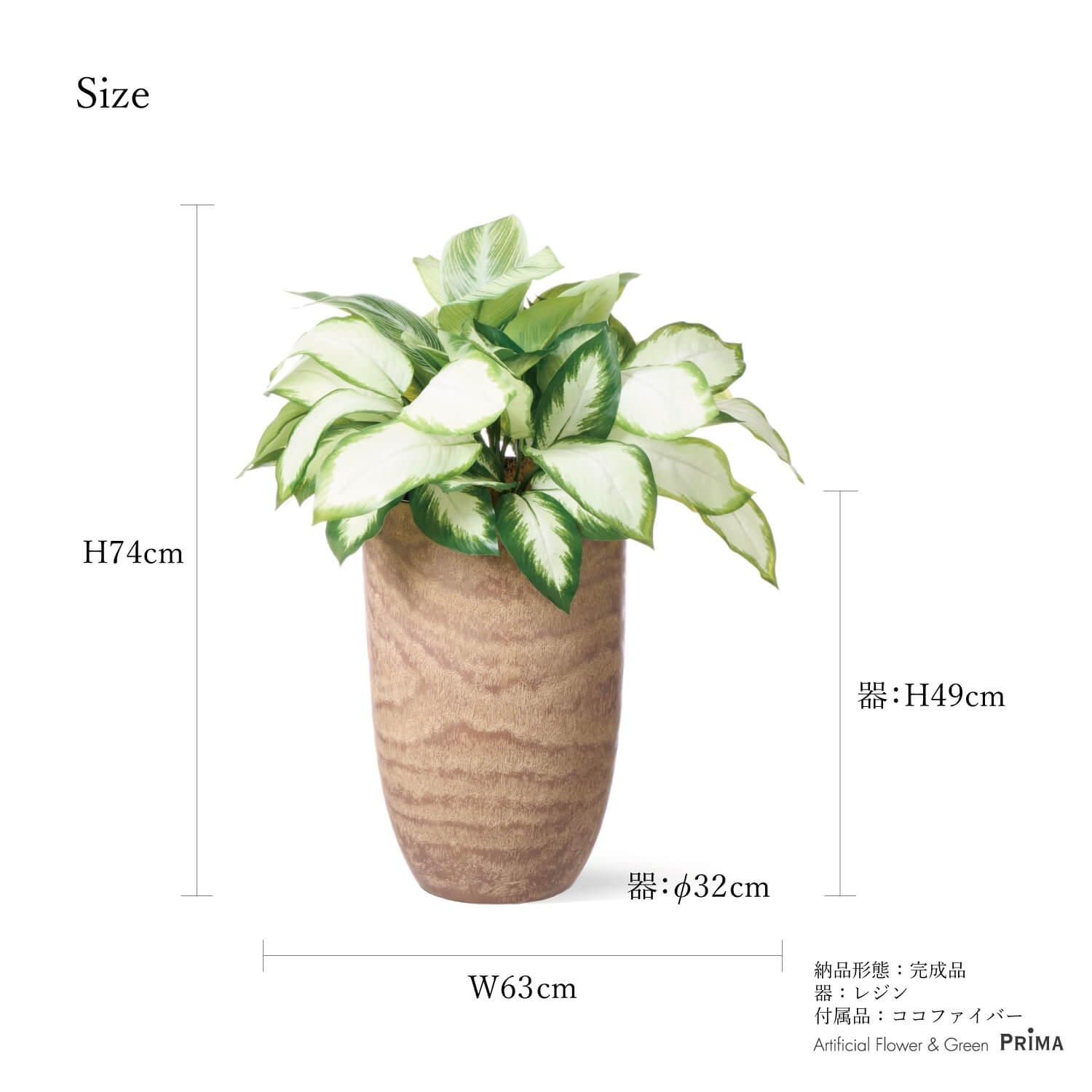 ǥեХ åɥץ󥿡 H74cm տʪ ե꡼ eco