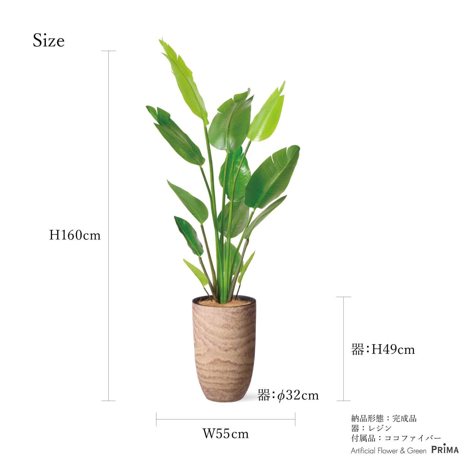 ストレリチアの観葉植物 フェイクグリーン | フェイクグリーン・造花