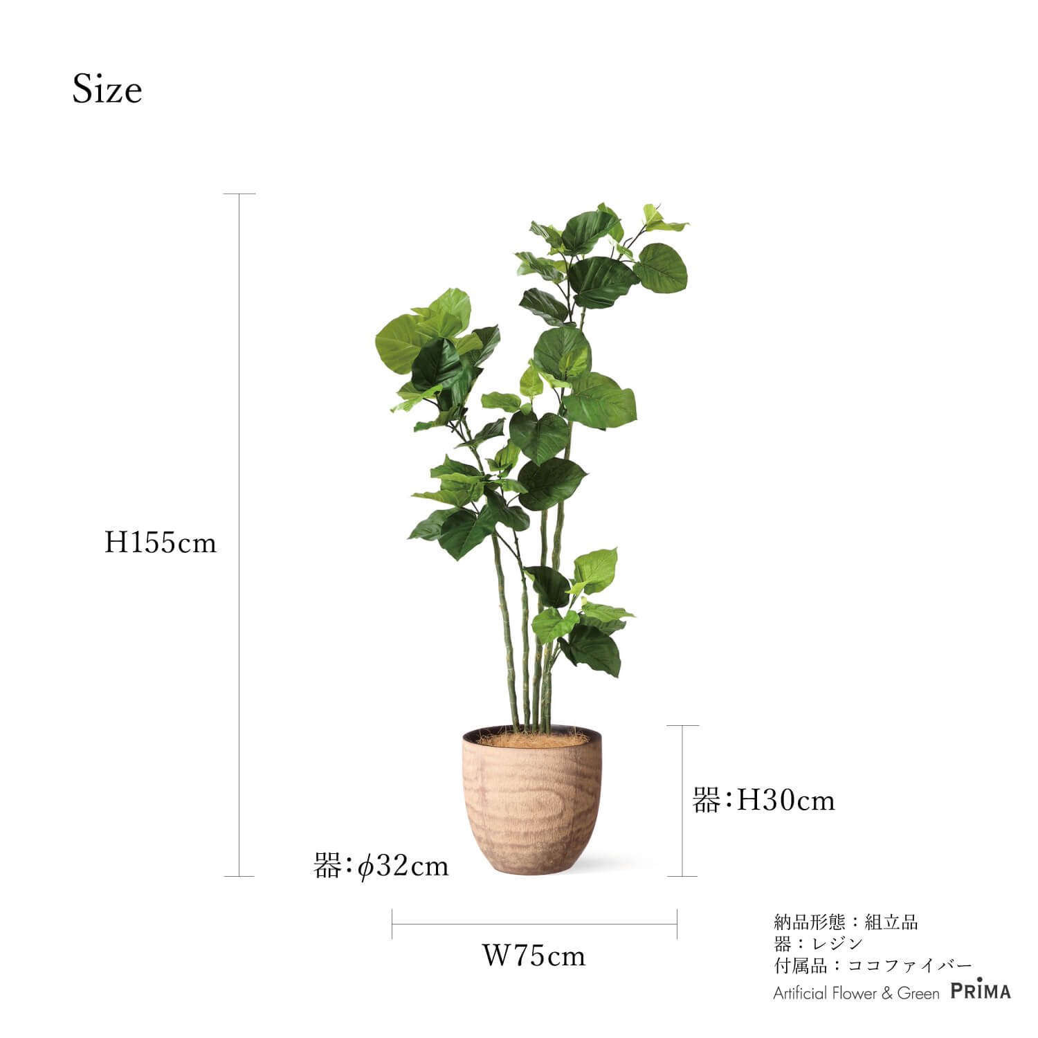 ٥顼 åɥݥå H155cm տʪ ե꡼ eco Ҹľʡ<img class='new_mark_img2' src='https://img.shop-pro.jp/img/new/icons1.gif' style='border:none;display:inline;margin:0px;padding:0px;width:auto;' />