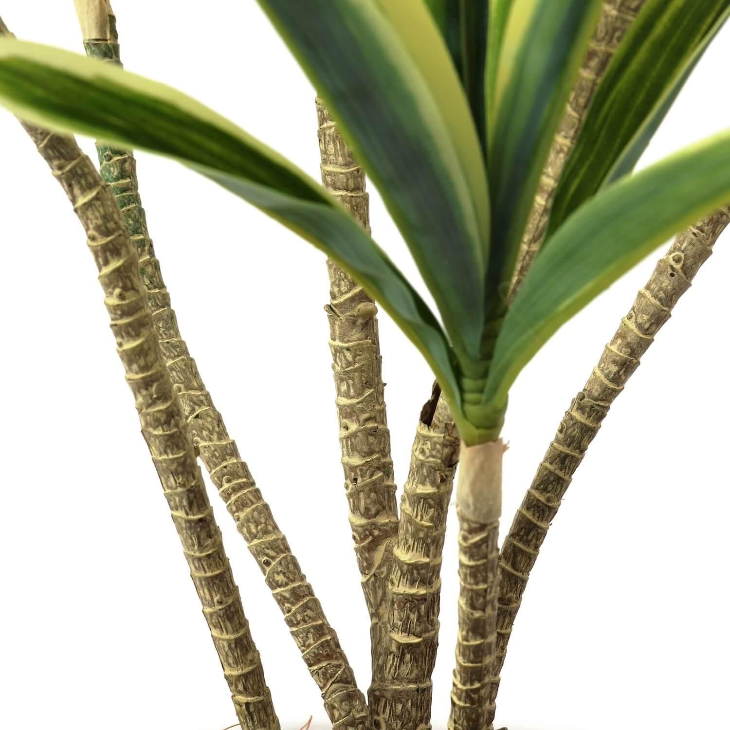 ɥ饻 åɥݥå H120cm տʪ ե꡼ eco Ҹľʡ