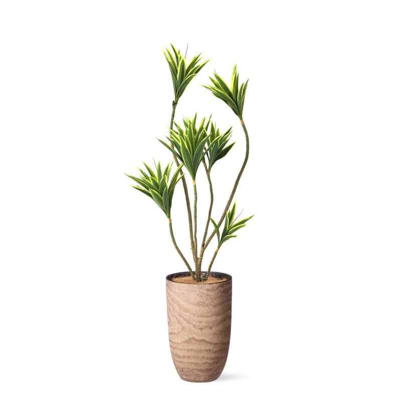 ɥ饻 åɥץ󥿡 H140cm տʪ ե꡼ eco Ҹľʡ