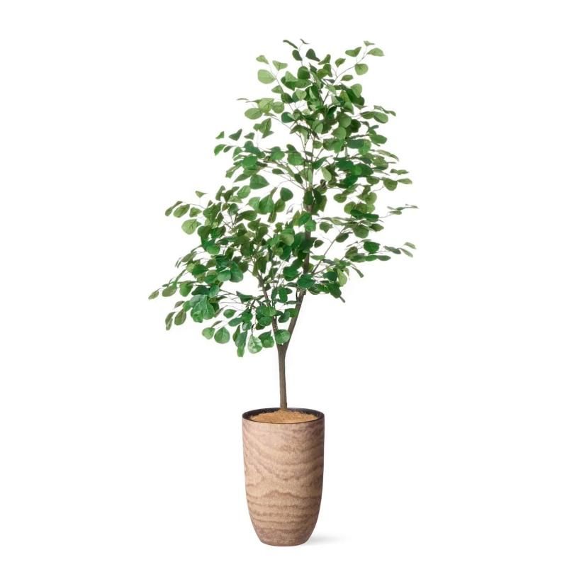 フェイクグリーン(人工観葉植物)商品一覧│フェイクグリーン フェイクグリーン(人工観葉植物)商品一覧│フェイクグリーン