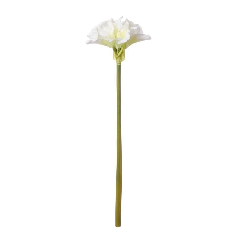 ޥꥹ ۥ磻 ñʲֺ ¤ ƥեե<img class='new_mark_img2' src='https://img.shop-pro.jp/img/new/icons1.gif' style='border:none;display:inline;margin:0px;padding:0px;width:auto;' />