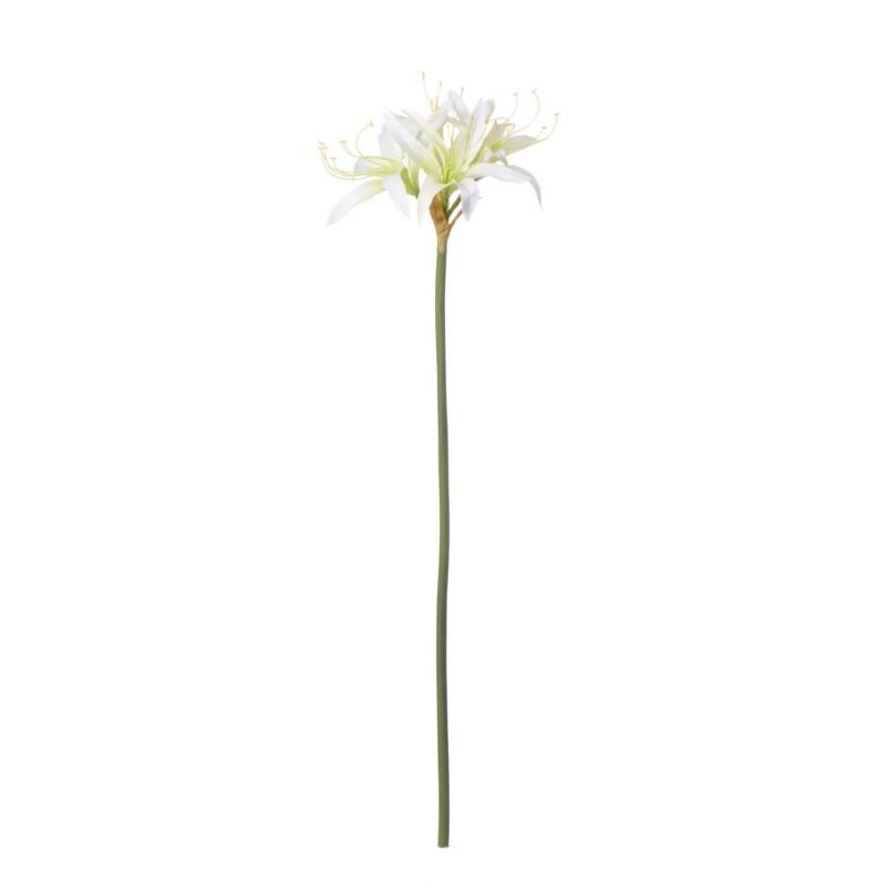 ޥꥹ ѥ ۥ磻 ñʲֺ ¤ ƥեե<img class='new_mark_img2' src='https://img.shop-pro.jp/img/new/icons1.gif' style='border:none;display:inline;margin:0px;padding:0px;width:auto;' />