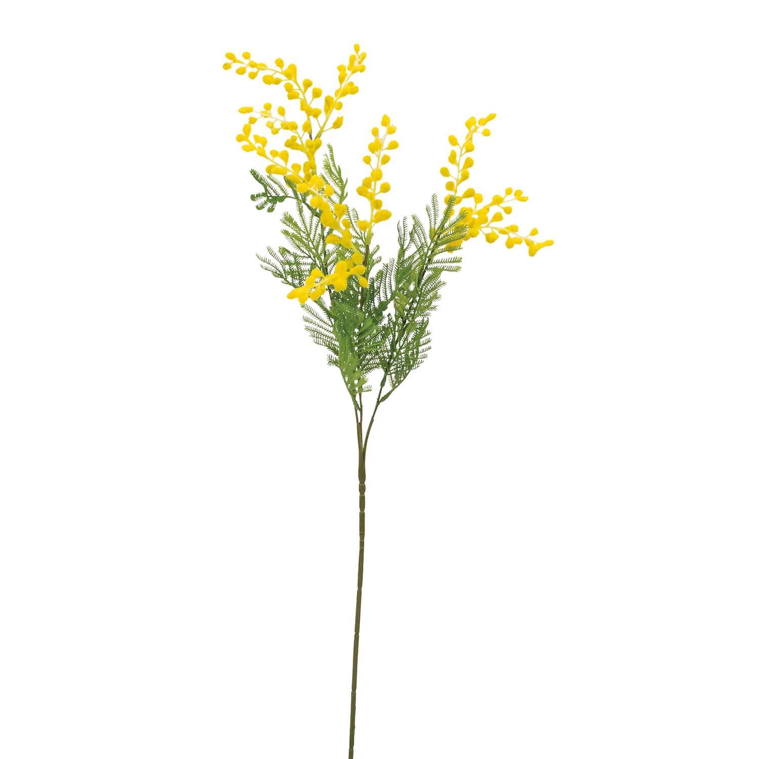 1.ミモザ切花100サイズ 3.ミモザ切花100サイズ