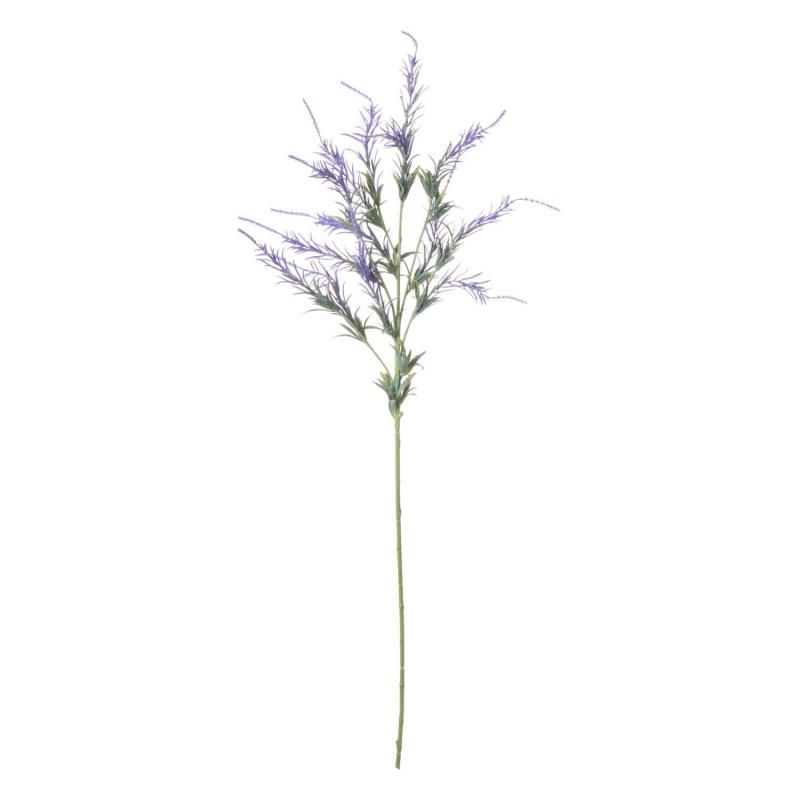 ե ٥ ñʲֺ ¤ ƥեե<img class='new_mark_img2' src='https://img.shop-pro.jp/img/new/icons1.gif' style='border:none;display:inline;margin:0px;padding:0px;width:auto;' />