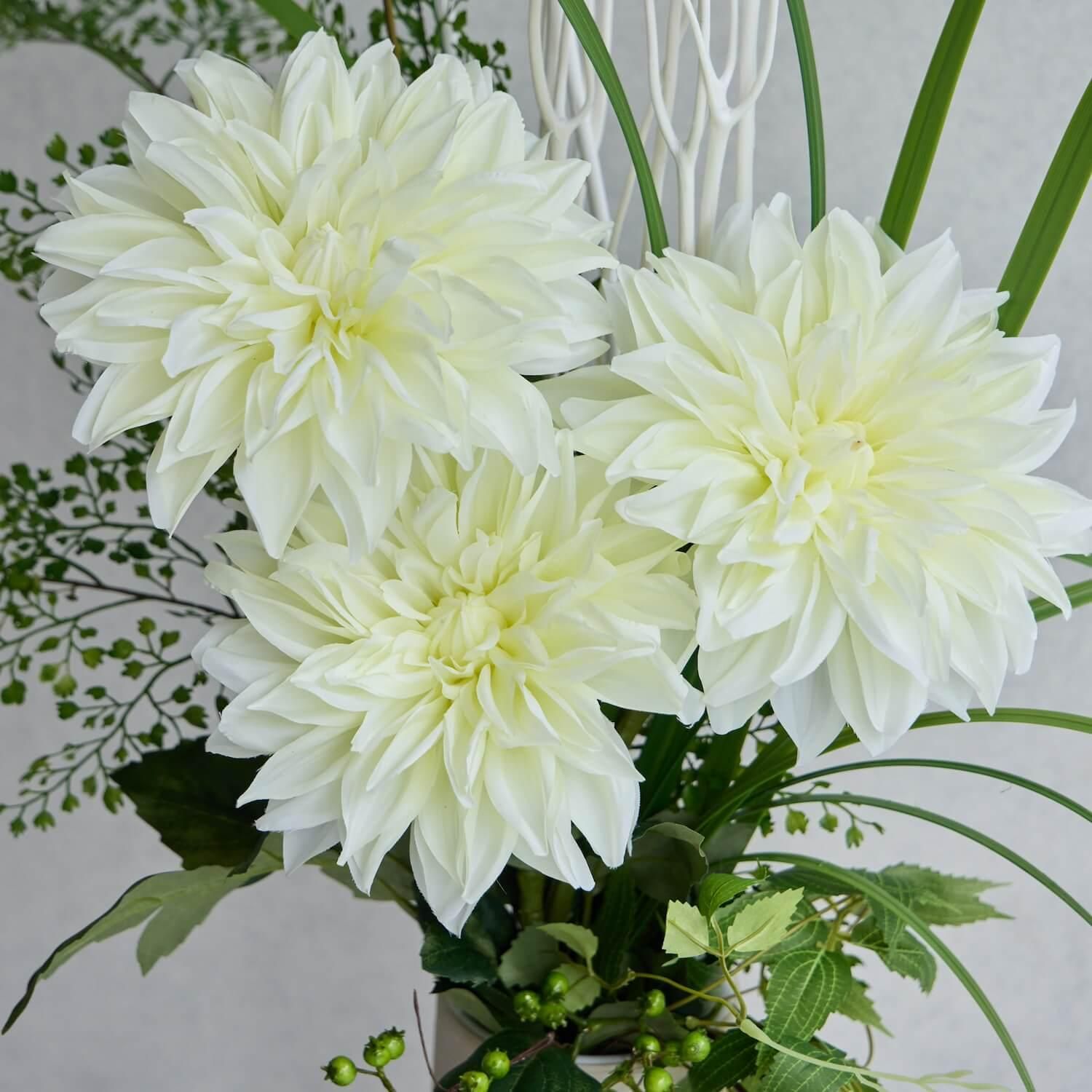 30%OFF ꥢ 󥦥 ¤ ե󥸥<img class='new_mark_img2' src='https://img.shop-pro.jp/img/new/icons2.gif' style='border:none;display:inline;margin:0px;padding:0px;width:auto;' />