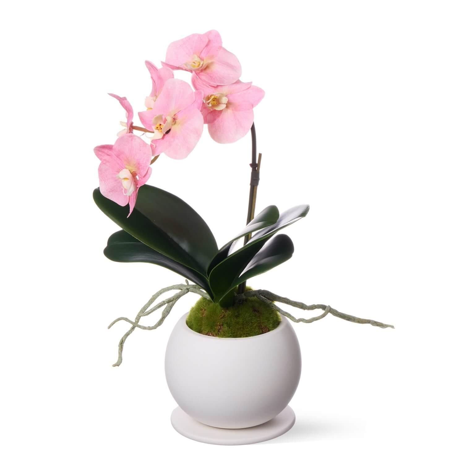 ĳ 1Ω ԥ ¤ ե󥸥<img class='new_mark_img2' src='https://img.shop-pro.jp/img/new/icons1.gif' style='border:none;display:inline;margin:0px;padding:0px;width:auto;' />