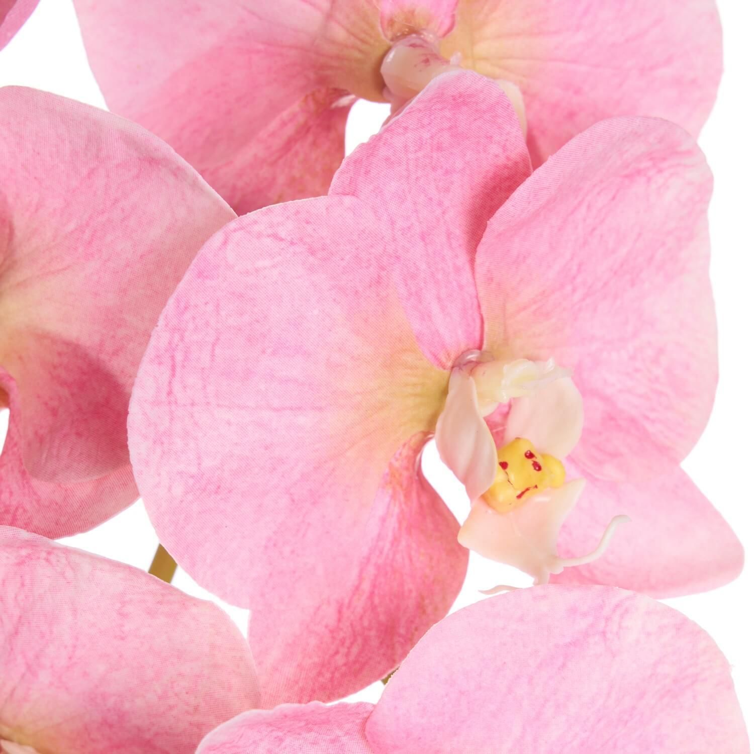 ĳ 2Ω ԥ ¤ ե󥸥<img class='new_mark_img2' src='https://img.shop-pro.jp/img/new/icons1.gif' style='border:none;display:inline;margin:0px;padding:0px;width:auto;' />