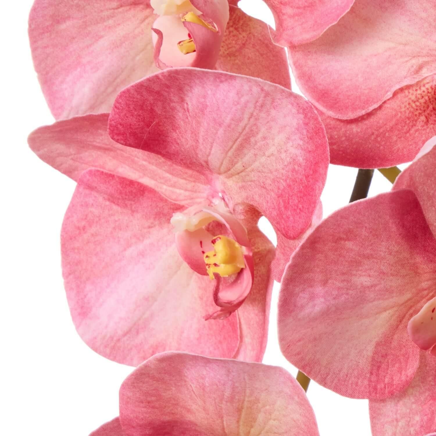 ĳ 2Ω ԡ ¤ ե󥸥<img class='new_mark_img2' src='https://img.shop-pro.jp/img/new/icons1.gif' style='border:none;display:inline;margin:0px;padding:0px;width:auto;' />