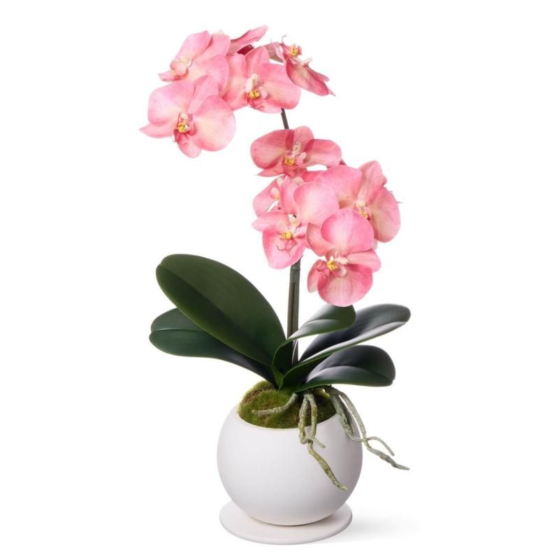 ĳ 2Ω ԡ ¤ ե󥸥<img class='new_mark_img2' src='https://img.shop-pro.jp/img/new/icons1.gif' style='border:none;display:inline;margin:0px;padding:0px;width:auto;' />