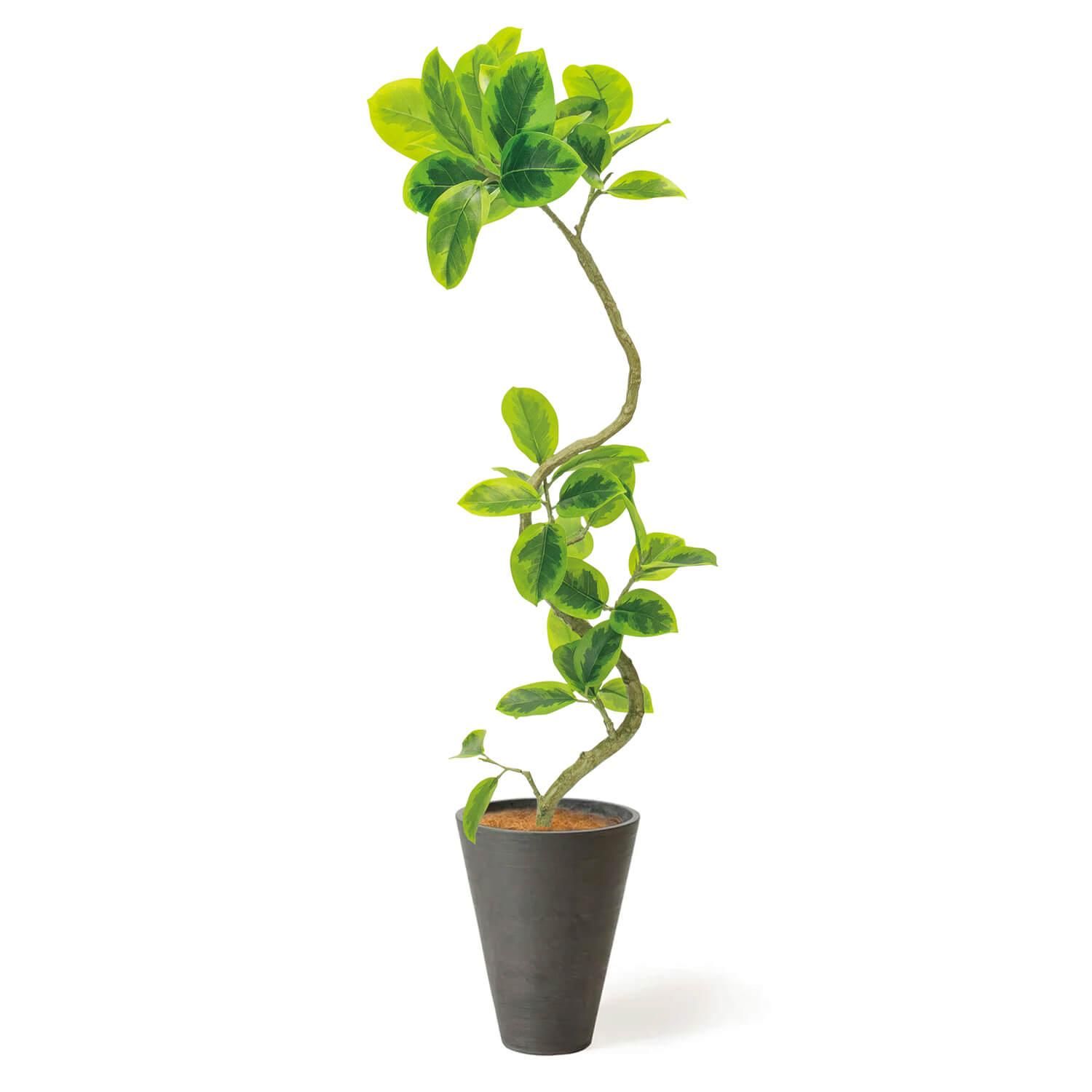 光触媒　人工観葉植物　ウォールグリーン　フェイクグリーン　アルテシマ株立FST 光触媒 人工観葉植物 ウォールグリーン フェイクグリーン