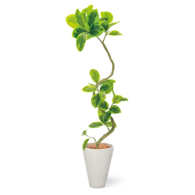 եƥ  GWץ󥿡 H142cm ۥ磻 տʪ ե꡼ eco Ҹľʡ <img class='new_mark_img2' src='https://img.shop-pro.jp/img/new/icons1.gif' style='border:none;display:inline;margin:0px;padding:0px;width:auto;' />
