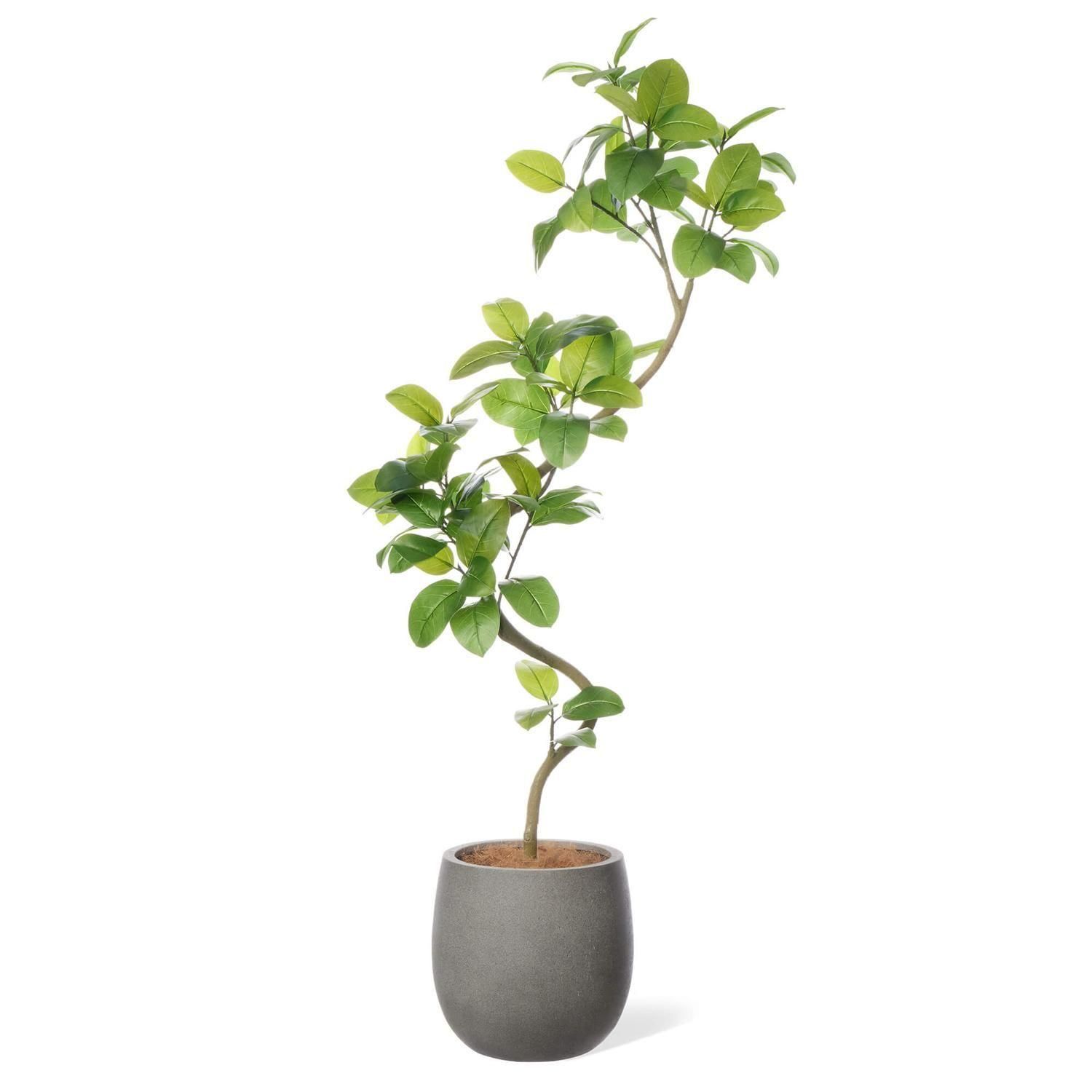 15%OFF ĥȥƥ åݥå H200cm 졼 տʪ ե꡼ Ҹľʡ eco<img class='new_mark_img2' src='https://img.shop-pro.jp/img/new/icons2.gif' style='border:none;display:inline;margin:0px;padding:0px;width:auto;' />
