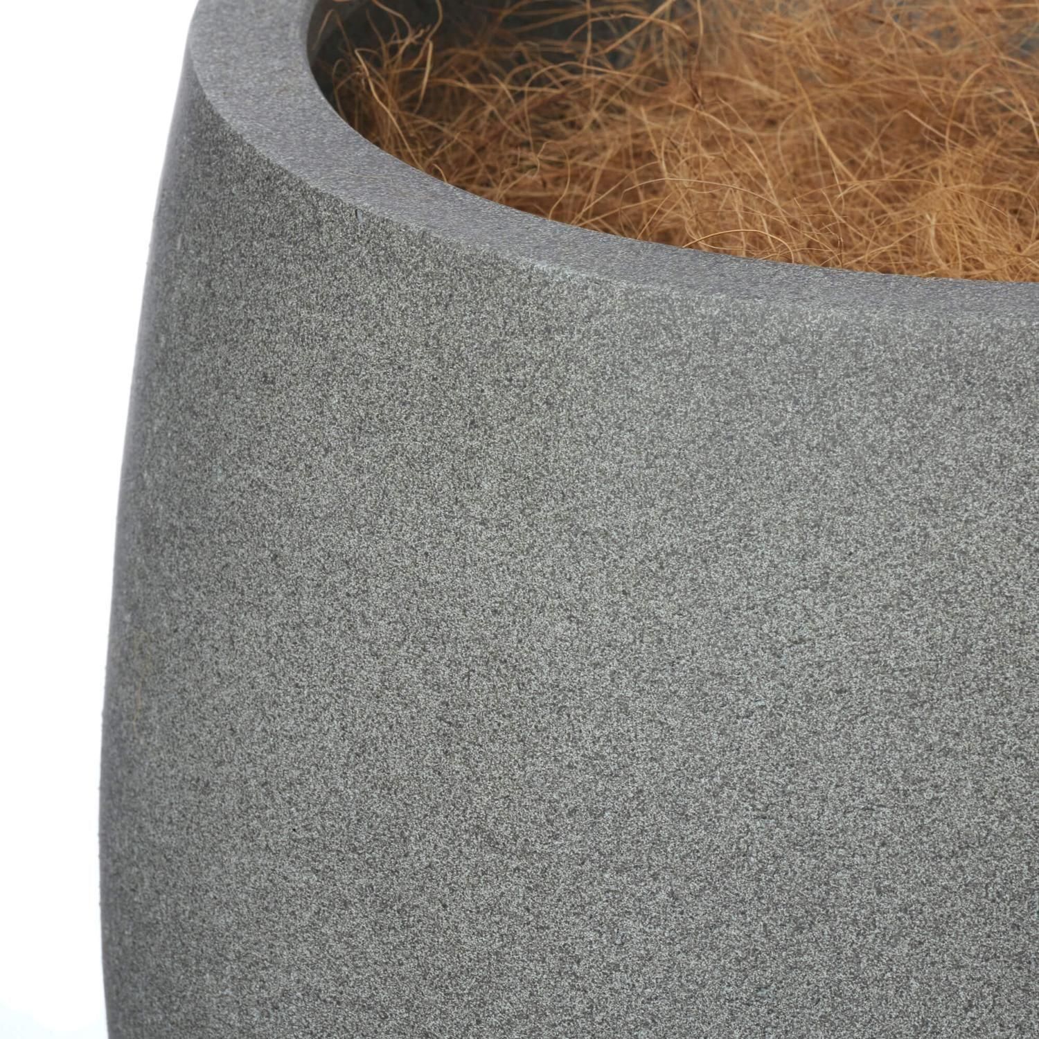 15%OFF ĥȥƥ åݥå H200cm 졼 տʪ ե꡼ Ҹľʡ eco<img class='new_mark_img2' src='https://img.shop-pro.jp/img/new/icons2.gif' style='border:none;display:inline;margin:0px;padding:0px;width:auto;' />