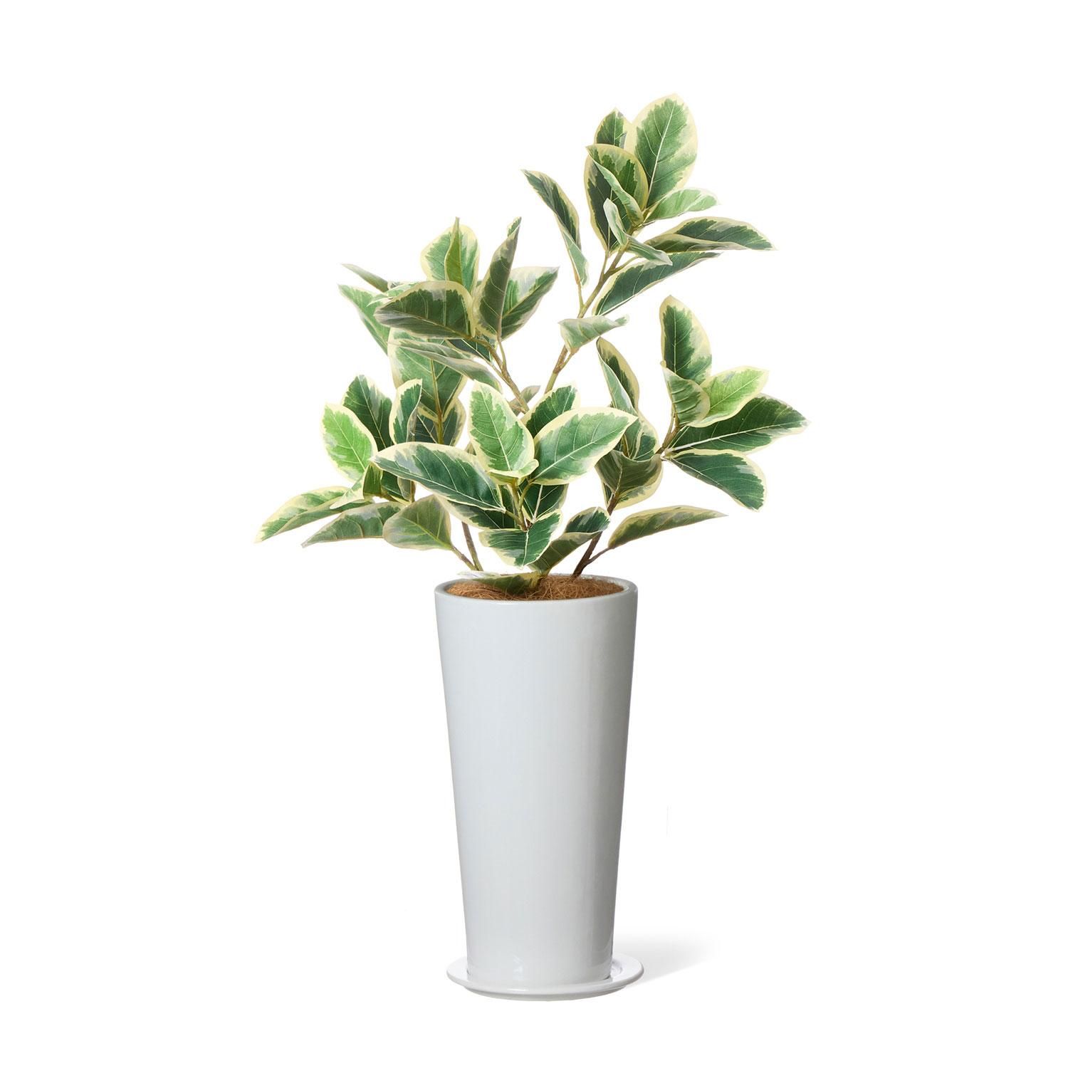 ե ץ󥿡 H93cm տʪ ե꡼<img class='new_mark_img2' src='https://img.shop-pro.jp/img/new/icons1.gif' style='border:none;display:inline;margin:0px;padding:0px;width:auto;' />