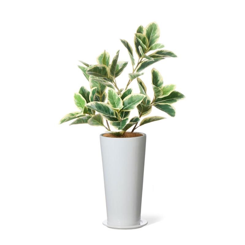 GREENPARK新商品2025 空間を演出する最新アーティフィシャル