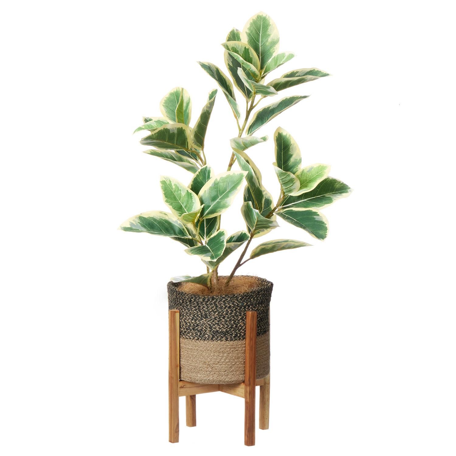 ե 塼ȥݥå  H75cm տʪ ե꡼<img class='new_mark_img2' src='https://img.shop-pro.jp/img/new/icons1.gif' style='border:none;display:inline;margin:0px;padding:0px;width:auto;' />
