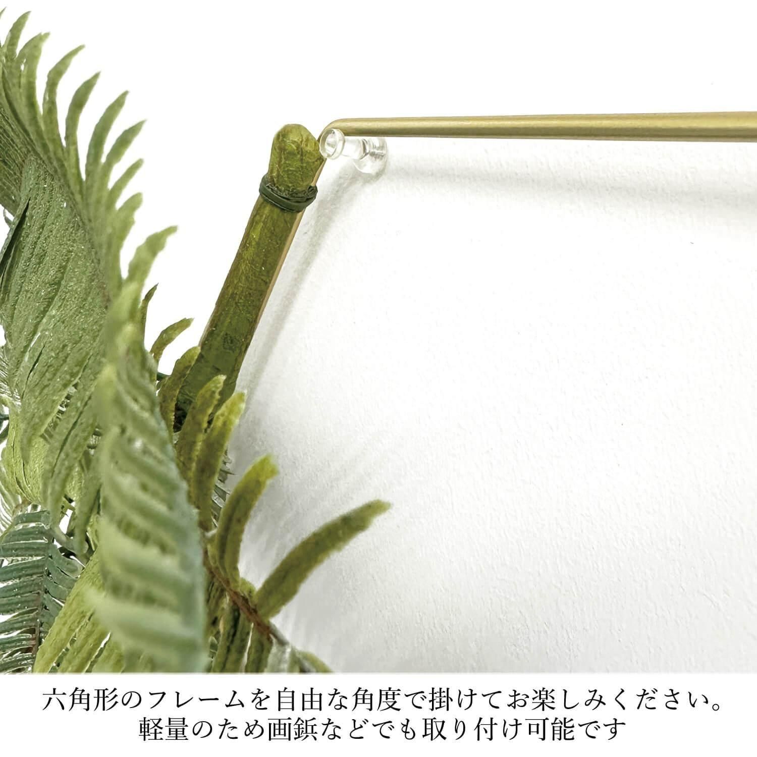 إ  տʪ ե꡼<img class='new_mark_img2' src='https://img.shop-pro.jp/img/new/icons1.gif' style='border:none;display:inline;margin:0px;padding:0px;width:auto;' />