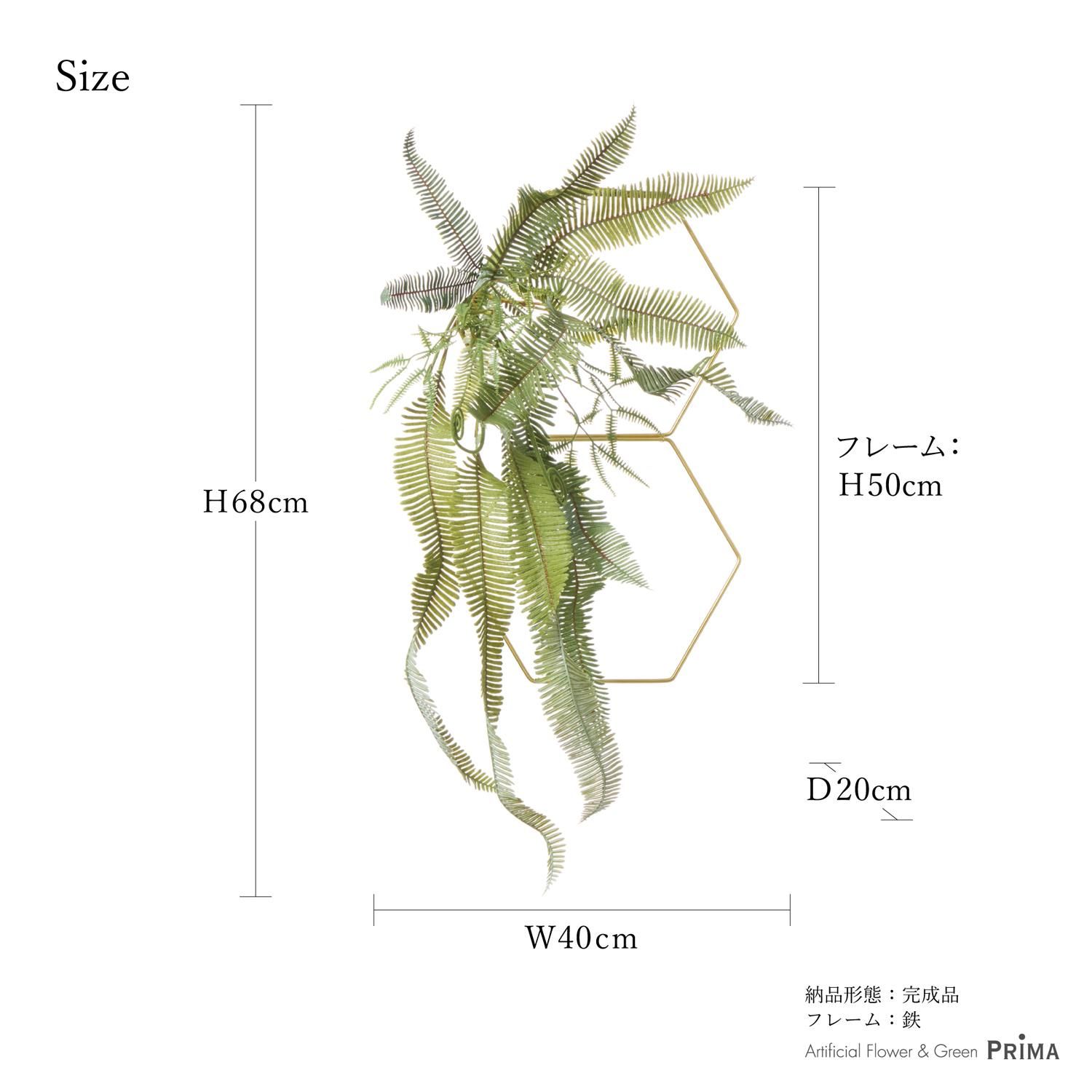 إ  տʪ ե꡼<img class='new_mark_img2' src='https://img.shop-pro.jp/img/new/icons1.gif' style='border:none;display:inline;margin:0px;padding:0px;width:auto;' />