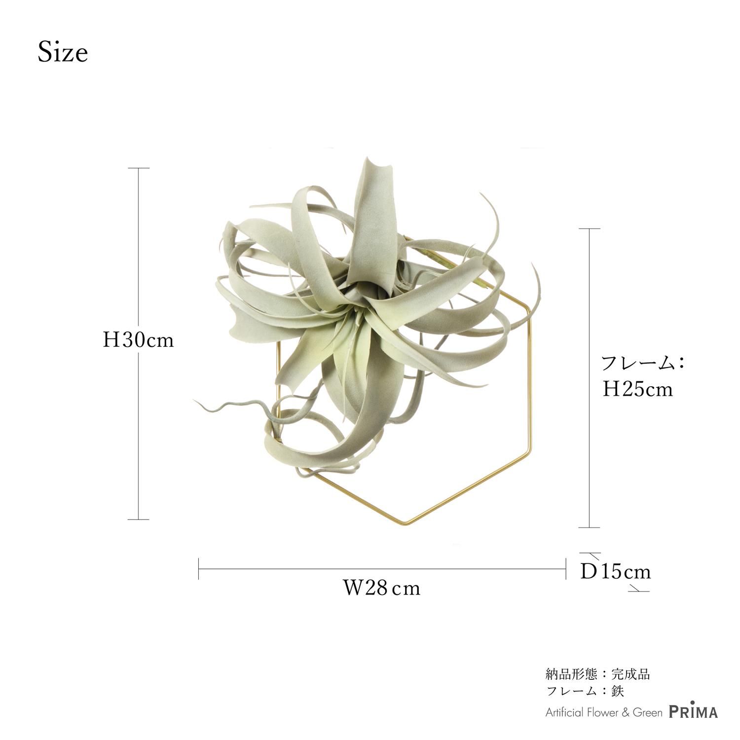 إ 󥸥 տʪ ե꡼<img class='new_mark_img2' src='https://img.shop-pro.jp/img/new/icons1.gif' style='border:none;display:inline;margin:0px;padding:0px;width:auto;' />