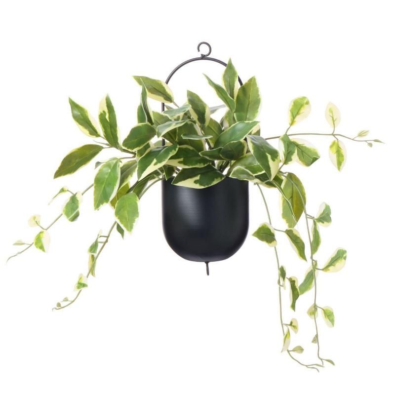観葉植物　フェイクグリーン　タマシダ　アイアンハンギング Amazon｜GREENPARK タマシダ アイアンハンギング 観葉植物