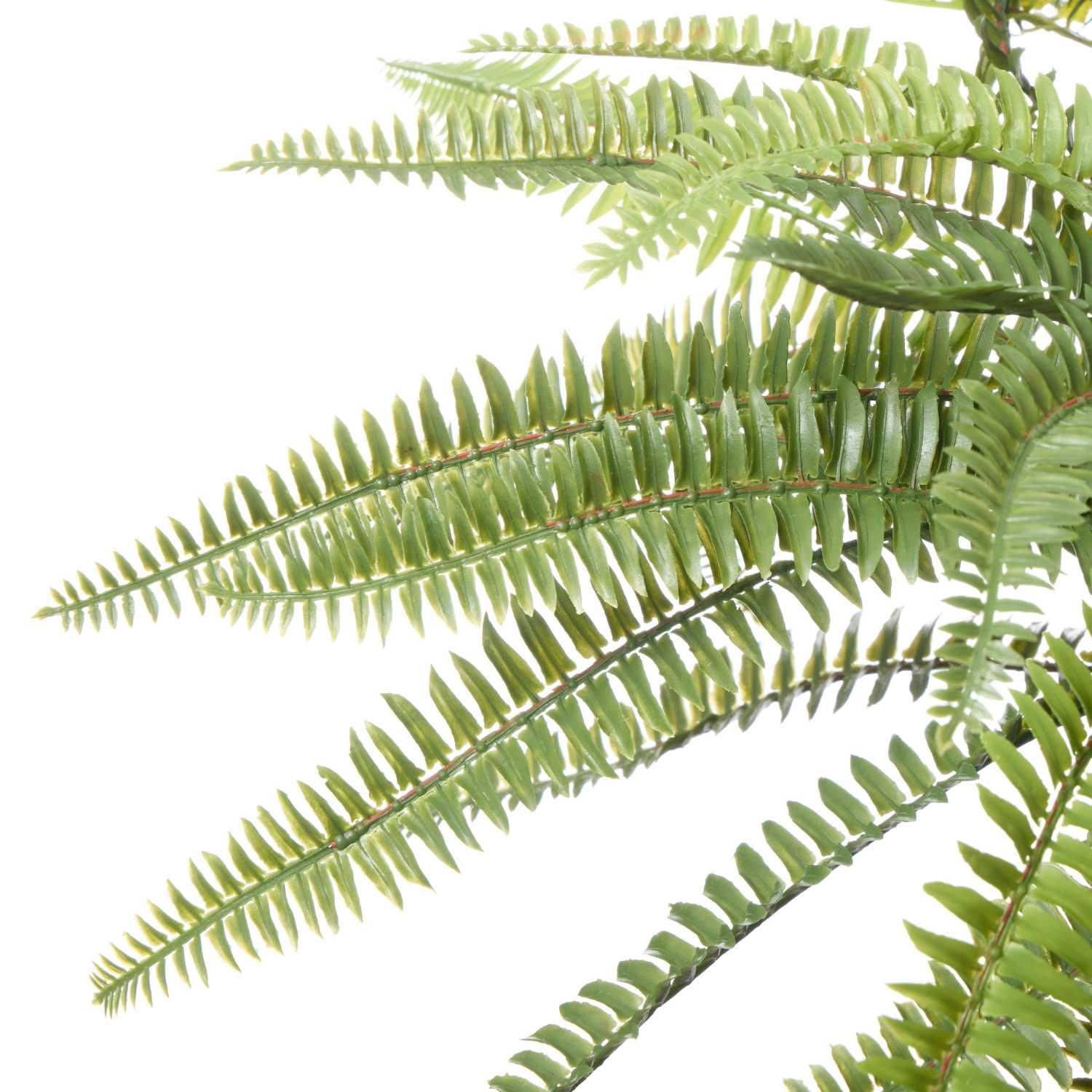 観葉植物　フェイクグリーン　タマシダ　アイアンハンギング 楽天市場】【公式】タマシダ アイアンハンギング 観葉植物