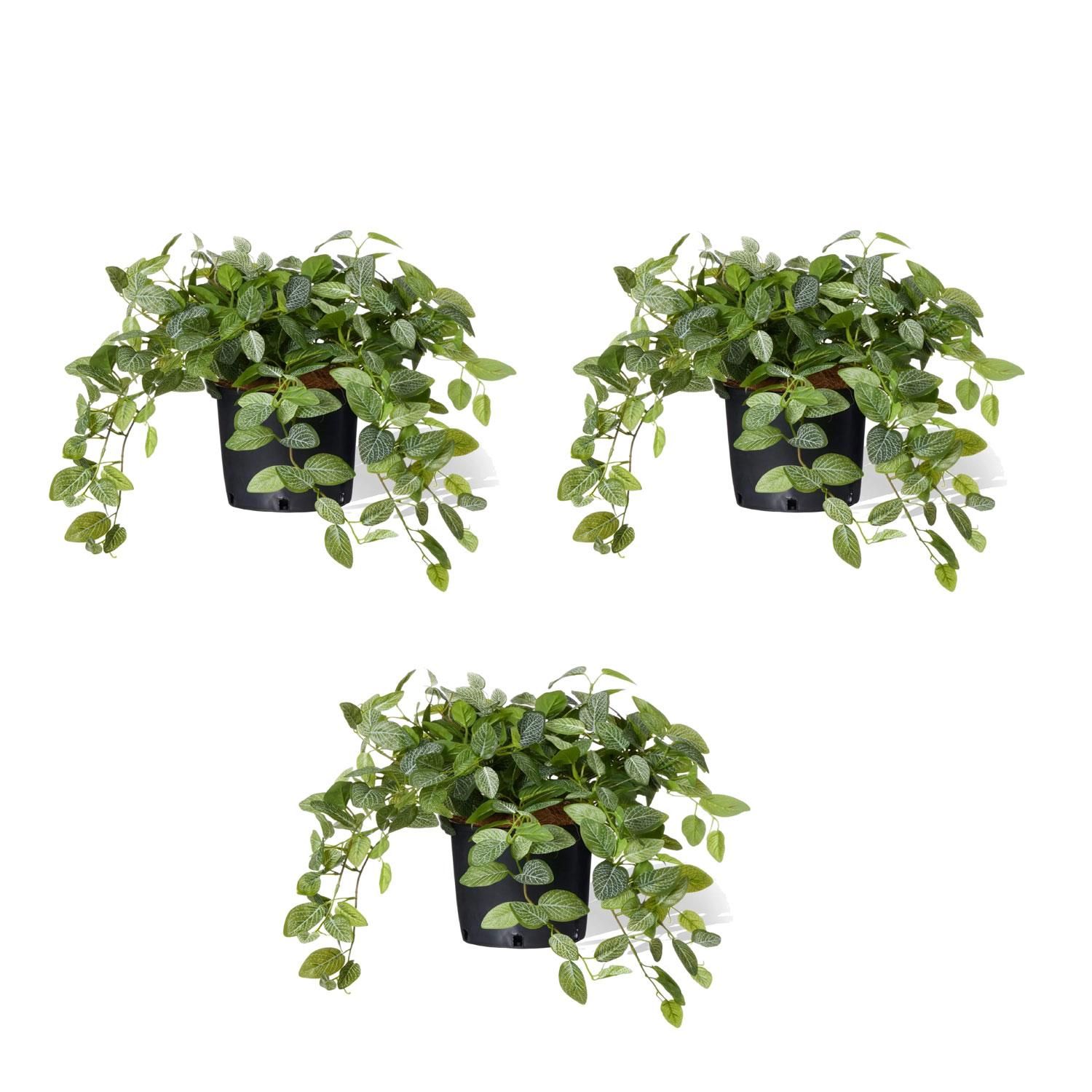 եåȥ˥ ʡݥå 3ĥå տʪ ե꡼<img class='new_mark_img2' src='https://img.shop-pro.jp/img/new/icons1.gif' style='border:none;display:inline;margin:0px;padding:0px;width:auto;' />