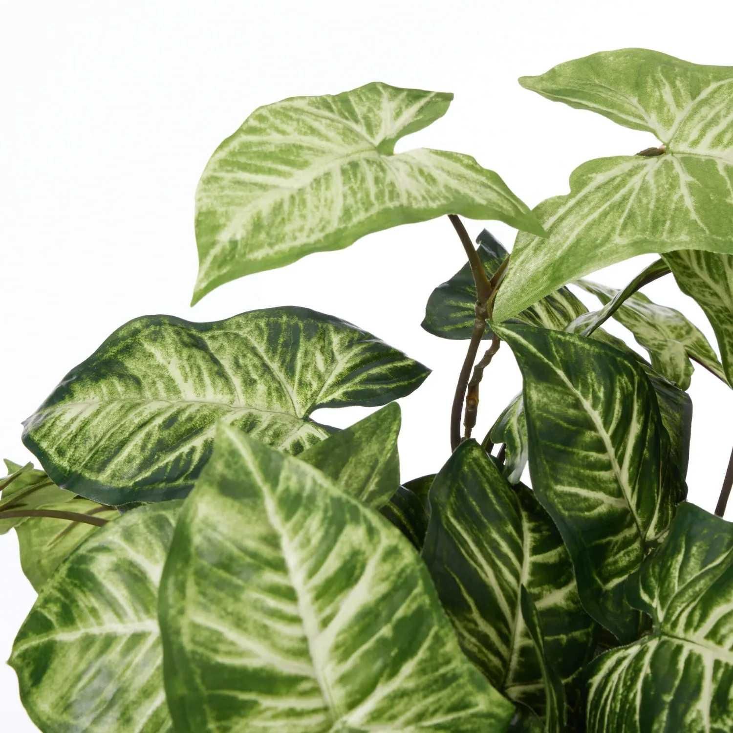 饸 ʡݥå 3ĥå տʪ ե꡼<img class='new_mark_img2' src='https://img.shop-pro.jp/img/new/icons1.gif' style='border:none;display:inline;margin:0px;padding:0px;width:auto;' />