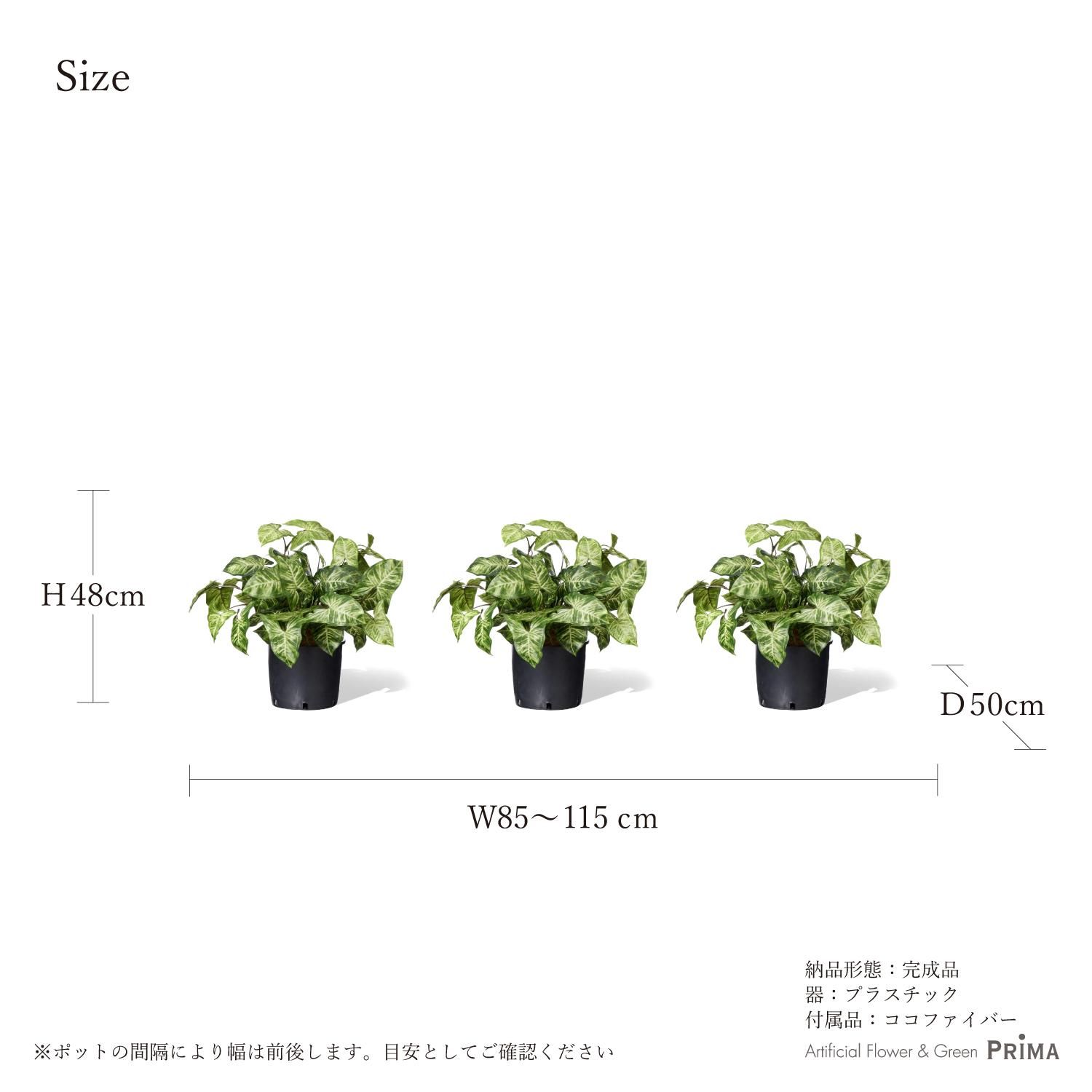 饸 ʡݥå 3ĥå տʪ ե꡼<img class='new_mark_img2' src='https://img.shop-pro.jp/img/new/icons1.gif' style='border:none;display:inline;margin:0px;padding:0px;width:auto;' />