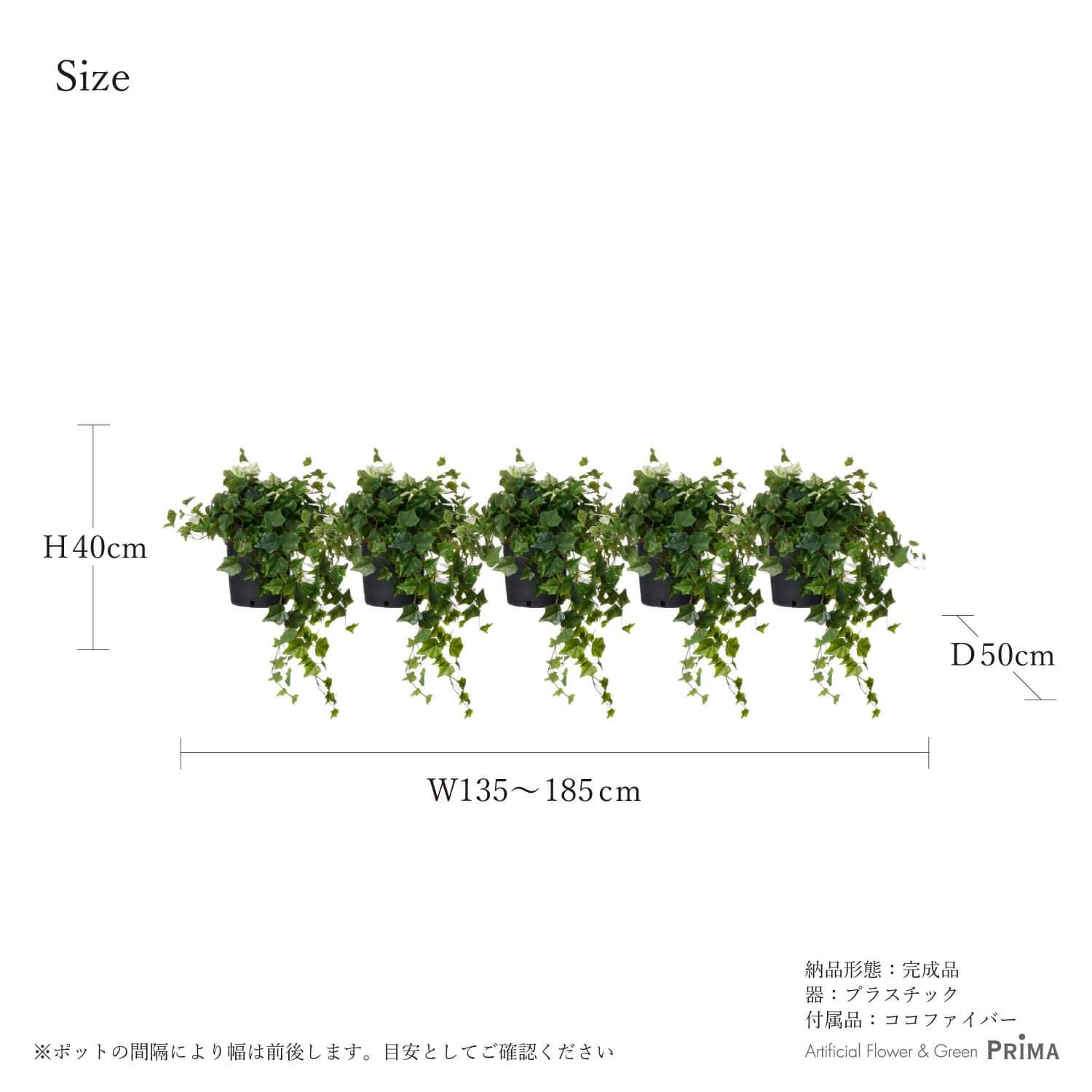 ӡ ʡݥå 5ĥå տʪ ե꡼<img class='new_mark_img2' src='https://img.shop-pro.jp/img/new/icons1.gif' style='border:none;display:inline;margin:0px;padding:0px;width:auto;' />