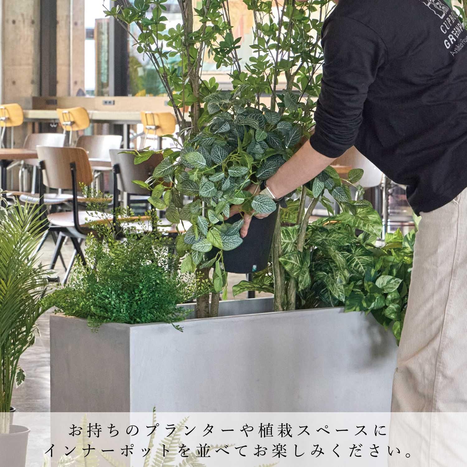 ߥåI ʡݥå 5ĥå տʪ ե꡼<img class='new_mark_img2' src='https://img.shop-pro.jp/img/new/icons1.gif' style='border:none;display:inline;margin:0px;padding:0px;width:auto;' />