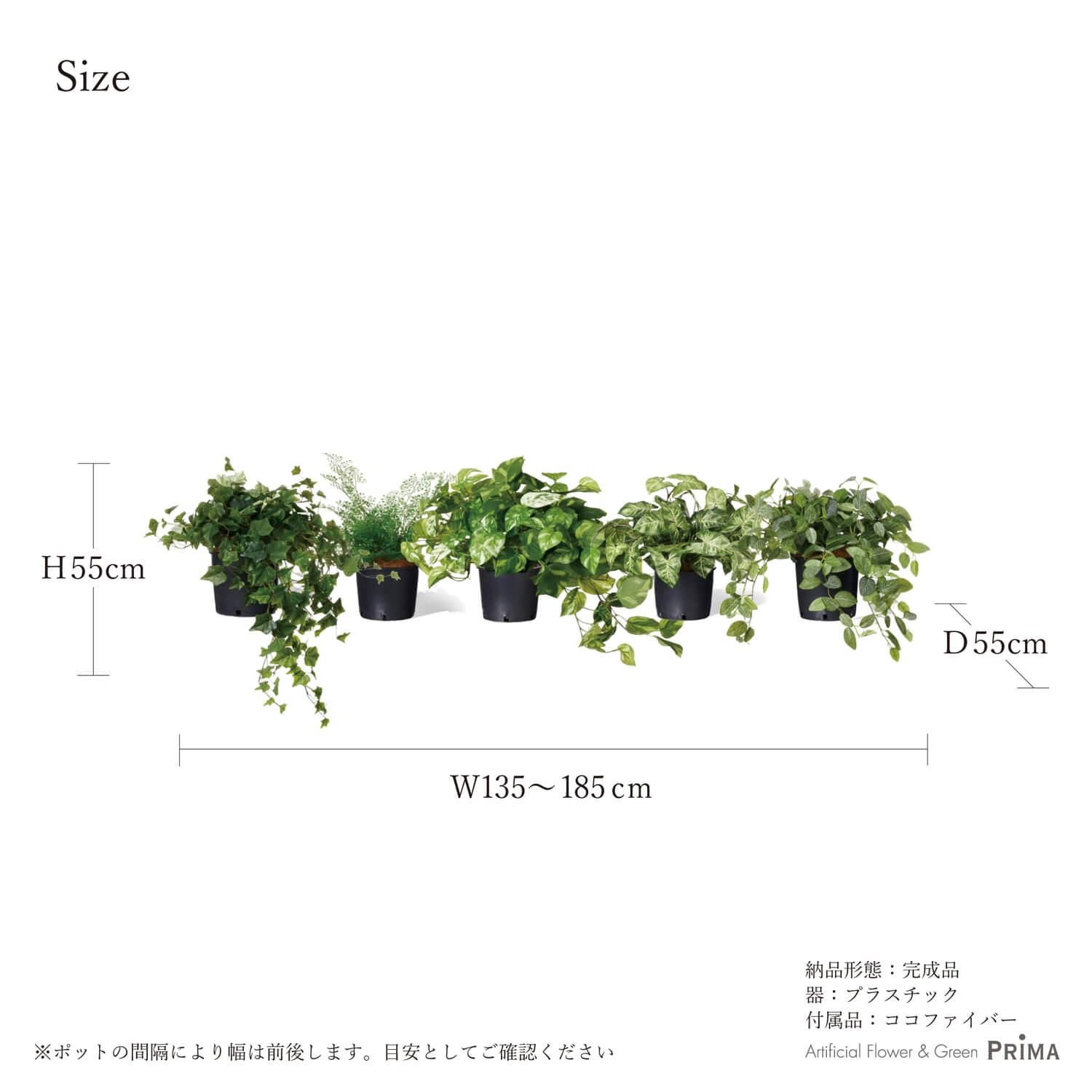 ߥåI ʡݥå 5ĥå տʪ ե꡼<img class='new_mark_img2' src='https://img.shop-pro.jp/img/new/icons1.gif' style='border:none;display:inline;margin:0px;padding:0px;width:auto;' />