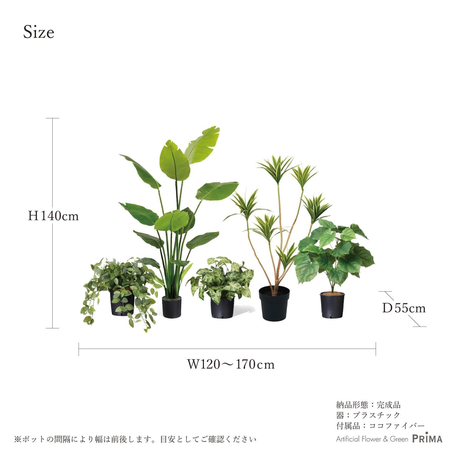 ߥåK ʡݥå 5ĥå 6 տʪ ե꡼  Ҹľʡ<img class='new_mark_img2' src='https://img.shop-pro.jp/img/new/icons1.gif' style='border:none;display:inline;margin:0px;padding:0px;width:auto;' />