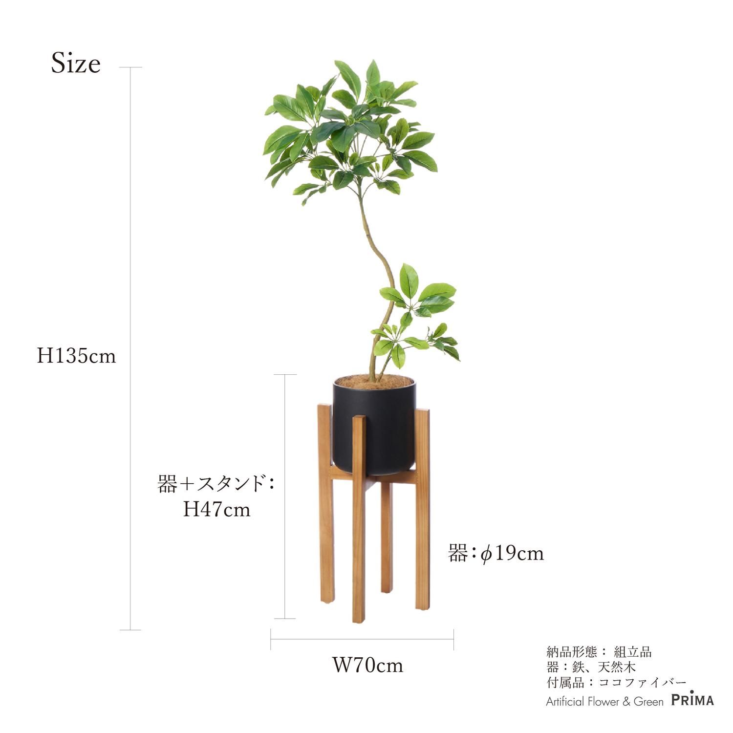 եS åɥ H135cm տʪ ե꡼ eco<img class='new_mark_img2' src='https://img.shop-pro.jp/img/new/icons1.gif' style='border:none;display:inline;margin:0px;padding:0px;width:auto;' />