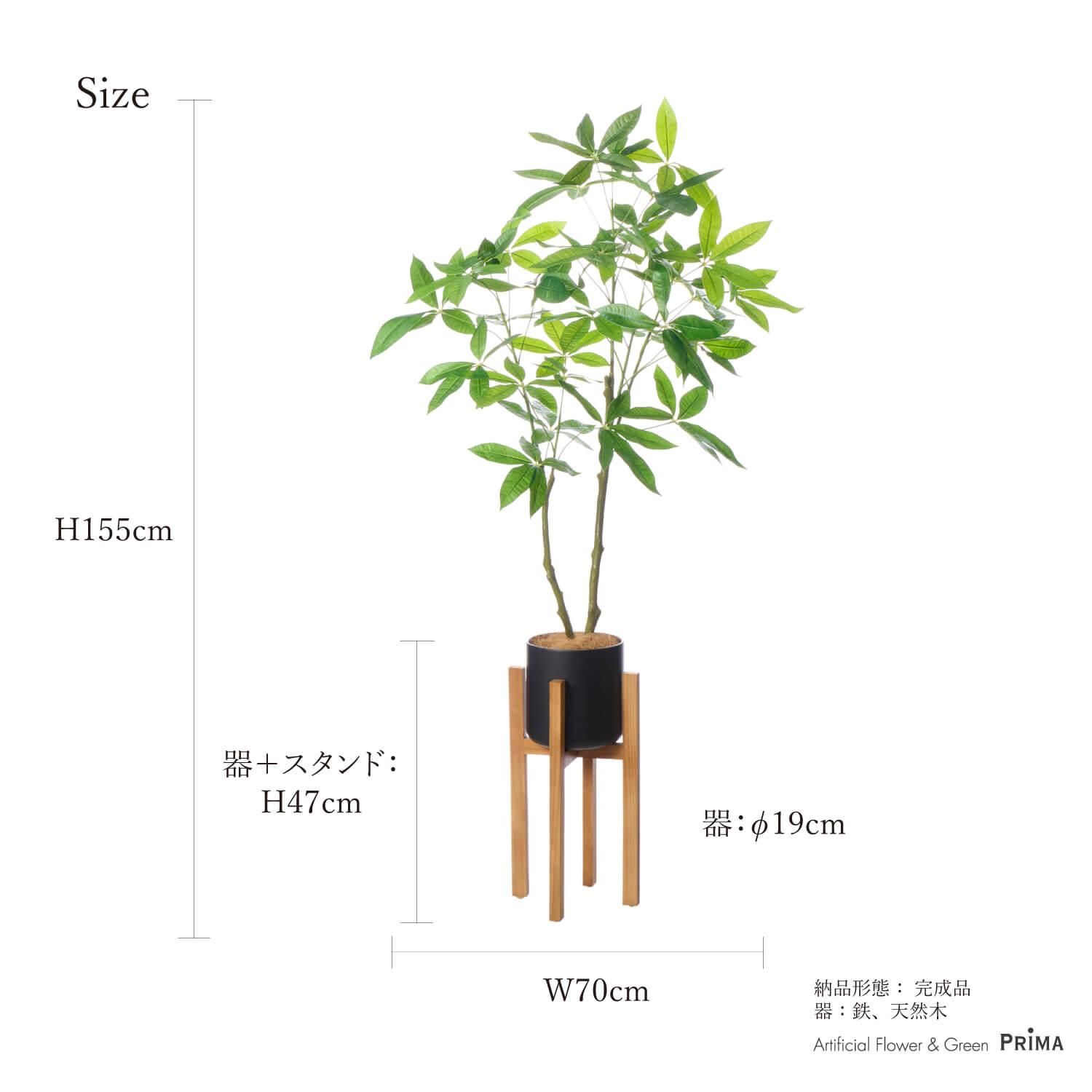 ѥ åɥ H155cm տʪ ե꡼<img class='new_mark_img2' src='https://img.shop-pro.jp/img/new/icons1.gif' style='border:none;display:inline;margin:0px;padding:0px;width:auto;' />