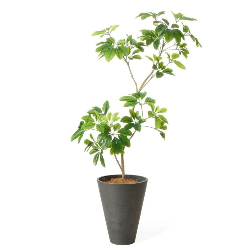 GREENPARK新商品2025 空間を演出する最新アーティフィシャルグリーン