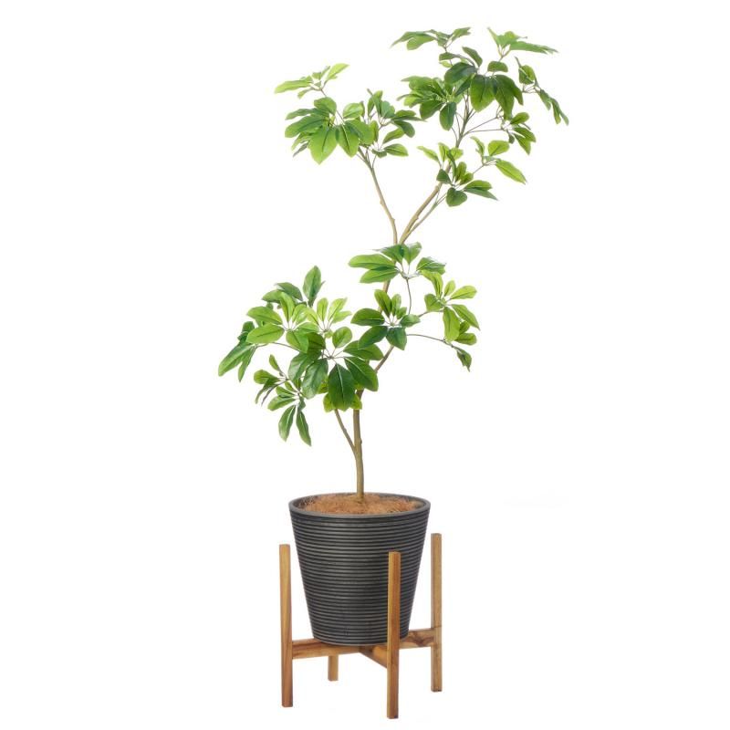 シェフレラの観葉植物 フェイクグリーン | 造花専門店プリマ