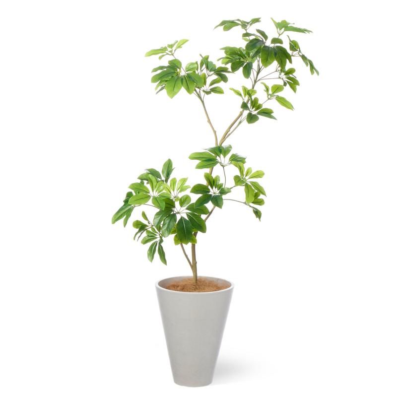 GREENPARK新商品2025 空間を演出する最新アーティフィシャルグリーン