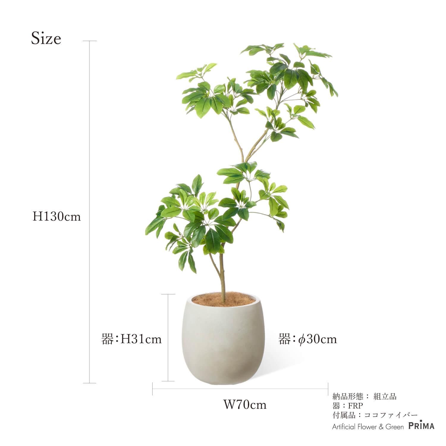 եM åݥå H130cm ܥ꡼ տʪ ե꡼ eco Ҹľʡ<img class='new_mark_img2' src='https://img.shop-pro.jp/img/new/icons1.gif' style='border:none;display:inline;margin:0px;padding:0px;width:auto;' />