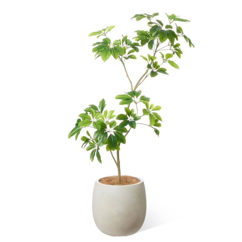 GREENPARK新商品2025 空間を演出する最新アーティフィシャル