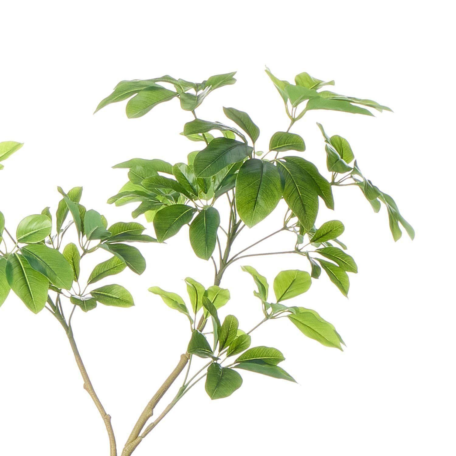 եM  åݥåȵ H145cm ܥ꡼ տʪ ե꡼ Ҹľʡ eco<img class='new_mark_img2' src='https://img.shop-pro.jp/img/new/icons1.gif' style='border:none;display:inline;margin:0px;padding:0px;width:auto;' />