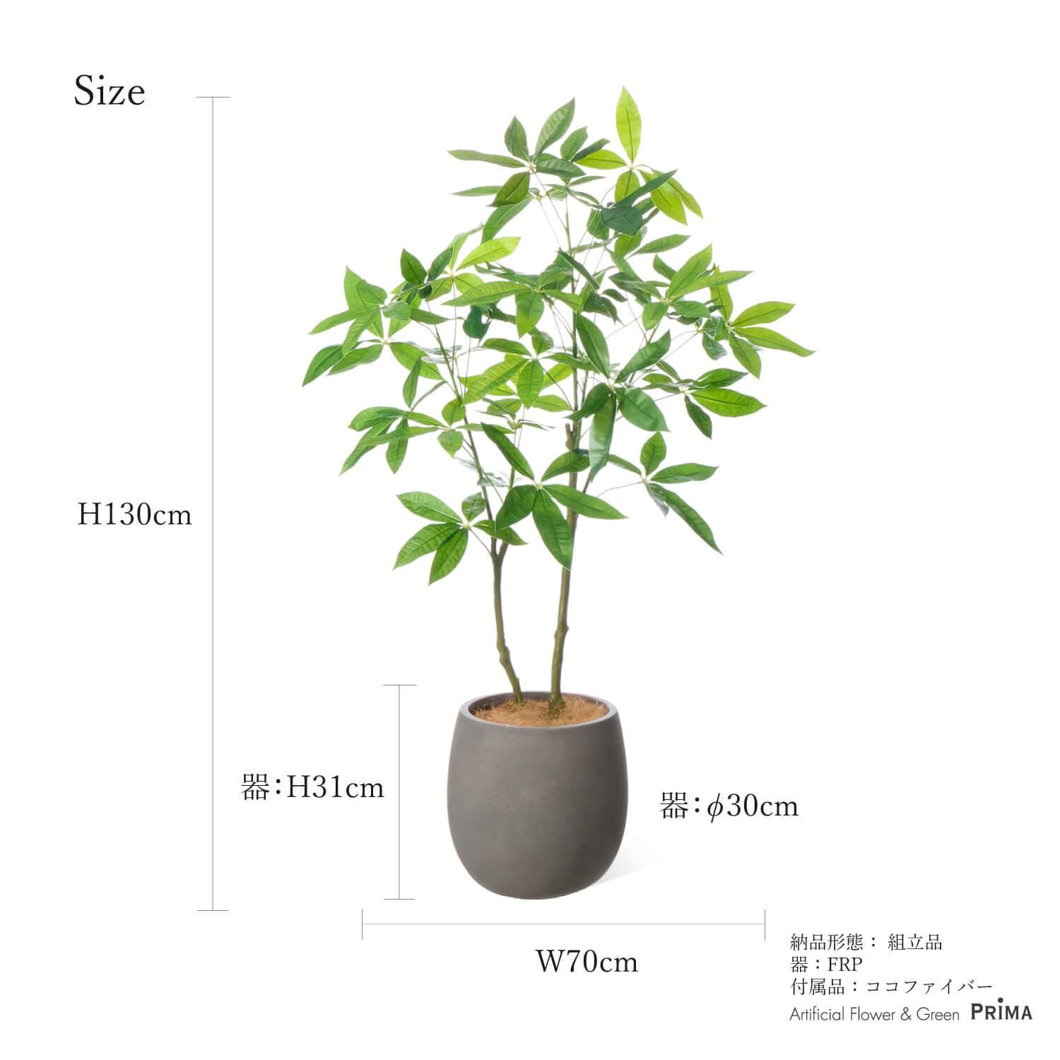 ѥ åݥå H130cm 졼 տʪ ե꡼ Ҹľʡ<img class='new_mark_img2' src='https://img.shop-pro.jp/img/new/icons1.gif' style='border:none;display:inline;margin:0px;padding:0px;width:auto;' />