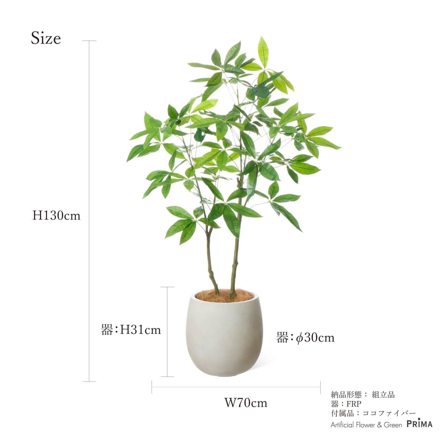 ѥ åݥå H130cm ܥ꡼ տʪ ե꡼ Ҹľʡ<img class='new_mark_img2' src='https://img.shop-pro.jp/img/new/icons1.gif' style='border:none;display:inline;margin:0px;padding:0px;width:auto;' />
