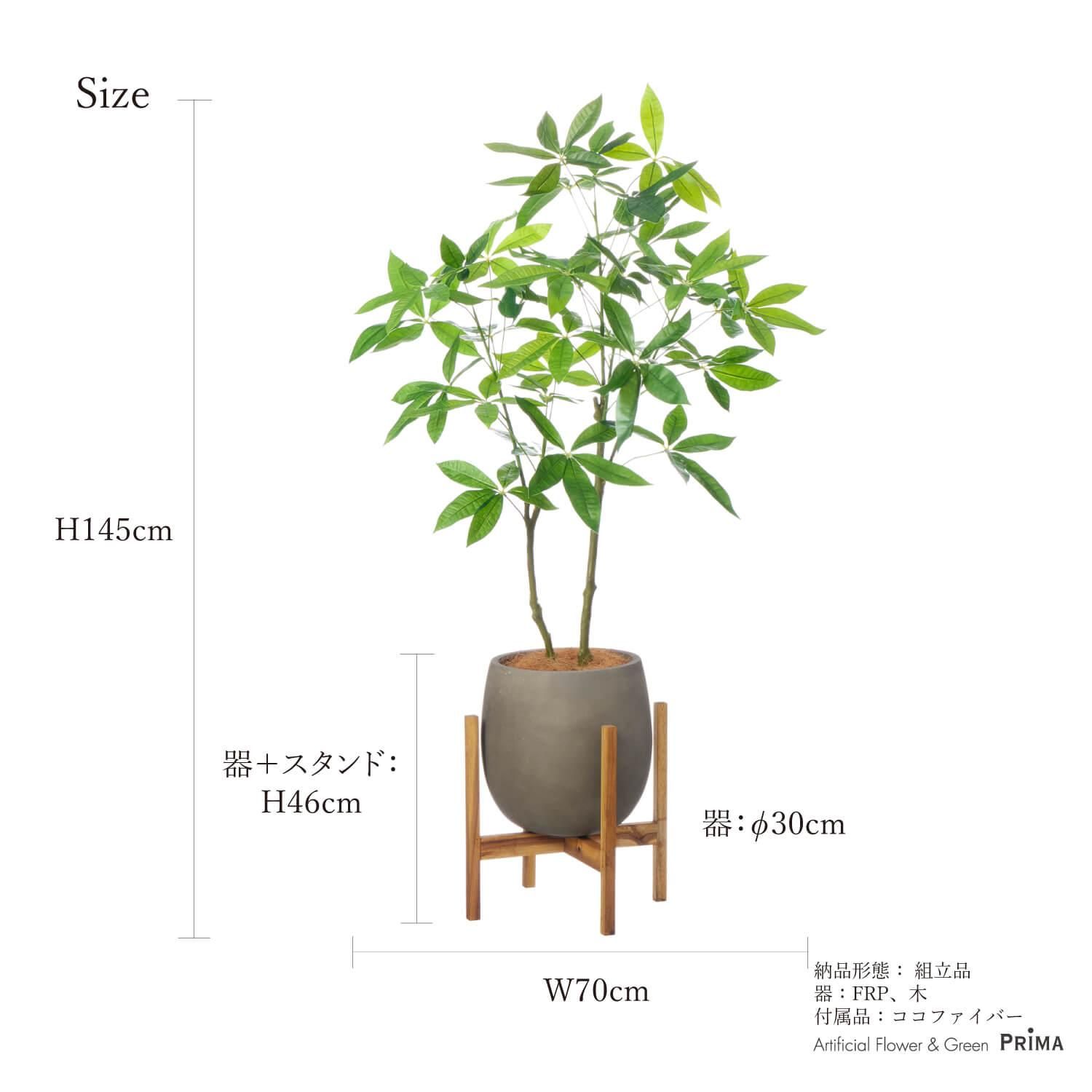 ѥ åݥåȵ H145cm 졼 տʪ ե꡼ Ҹľʡ<img class='new_mark_img2' src='https://img.shop-pro.jp/img/new/icons1.gif' style='border:none;display:inline;margin:0px;padding:0px;width:auto;' />