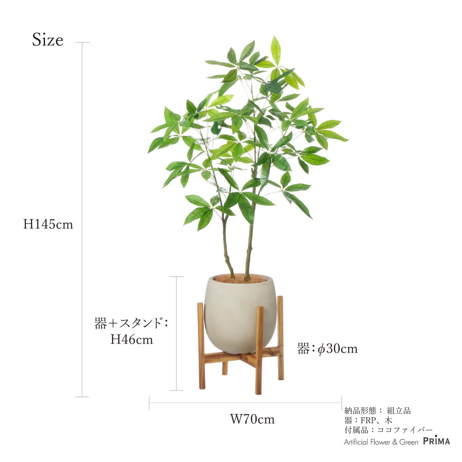 ѥ åݥåȵ H145cm ܥ꡼ տʪ ե꡼ Ҹľʡ<img class='new_mark_img2' src='https://img.shop-pro.jp/img/new/icons1.gif' style='border:none;display:inline;margin:0px;padding:0px;width:auto;' />