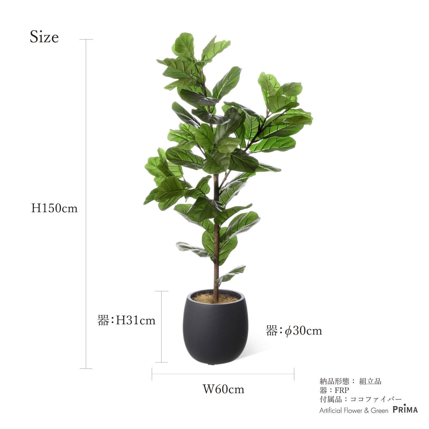 ХΥ åݥå H150cm ֥å տʪ ե꡼ Ҹľʡ<img class='new_mark_img2' src='https://img.shop-pro.jp/img/new/icons1.gif' style='border:none;display:inline;margin:0px;padding:0px;width:auto;' />