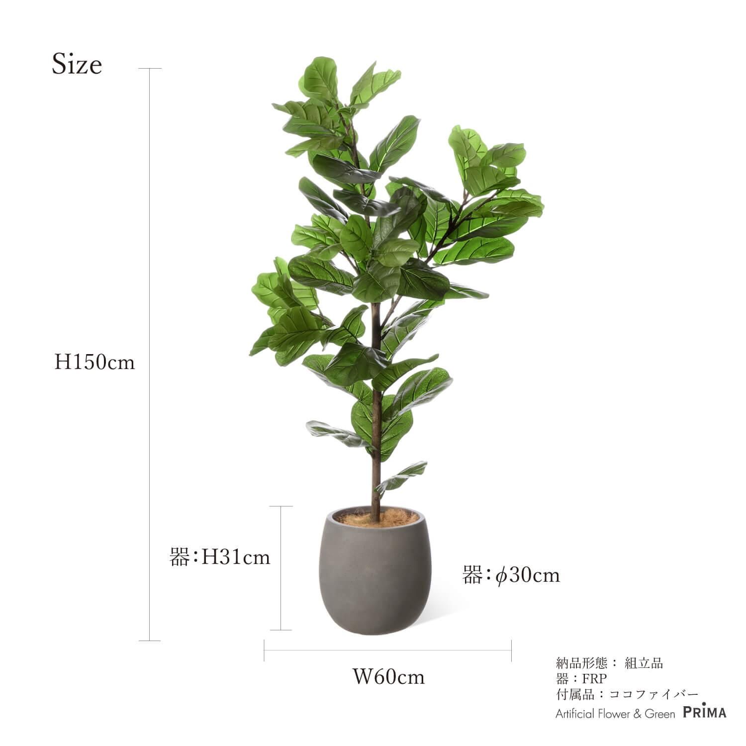 ХΥ åݥå H150cm 졼 տʪ ե꡼ Ҹľʡ<img class='new_mark_img2' src='https://img.shop-pro.jp/img/new/icons1.gif' style='border:none;display:inline;margin:0px;padding:0px;width:auto;' />