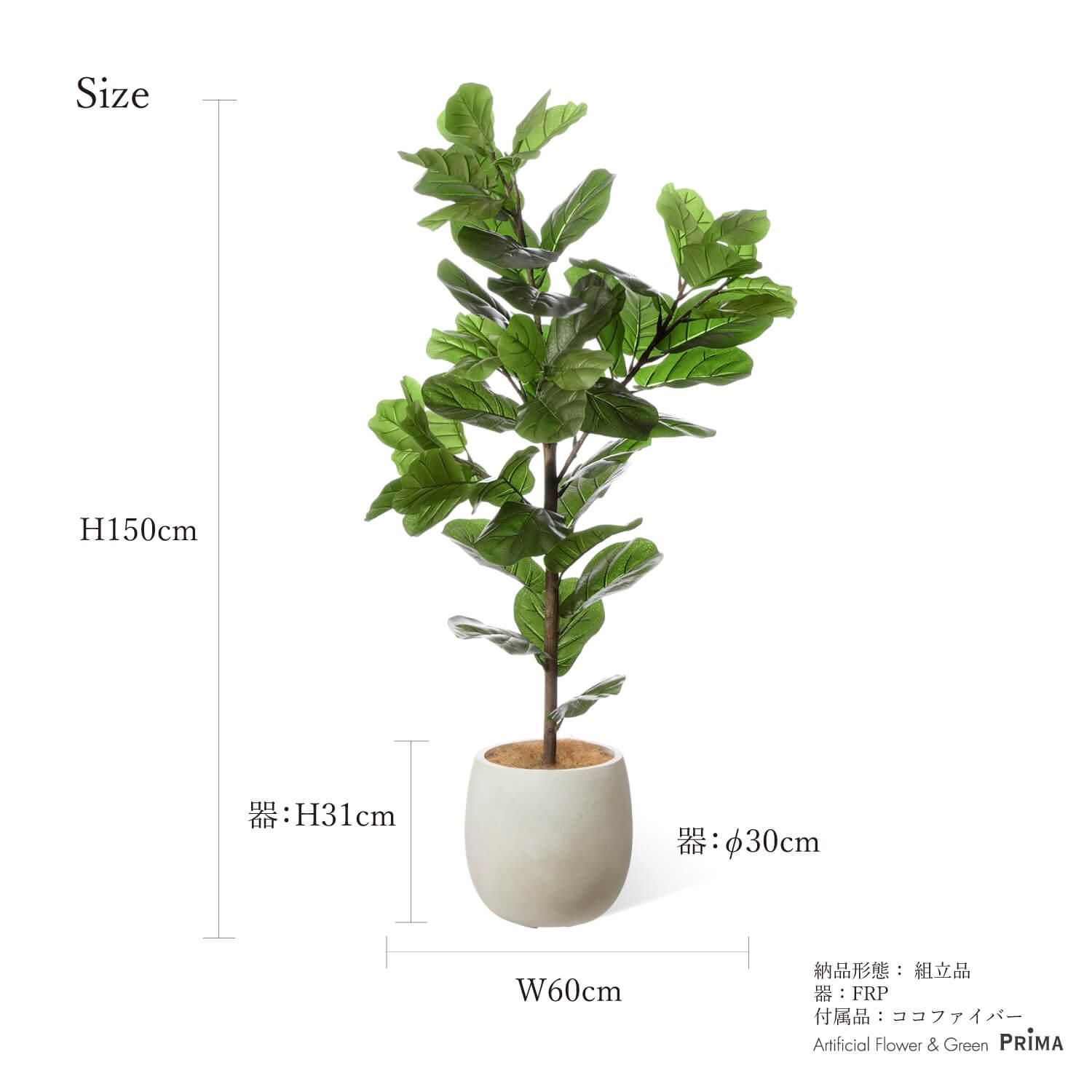ХΥ åݥå H150cm ܥ꡼ տʪ ե꡼ Ҹľʡ<img class='new_mark_img2' src='https://img.shop-pro.jp/img/new/icons1.gif' style='border:none;display:inline;margin:0px;padding:0px;width:auto;' />